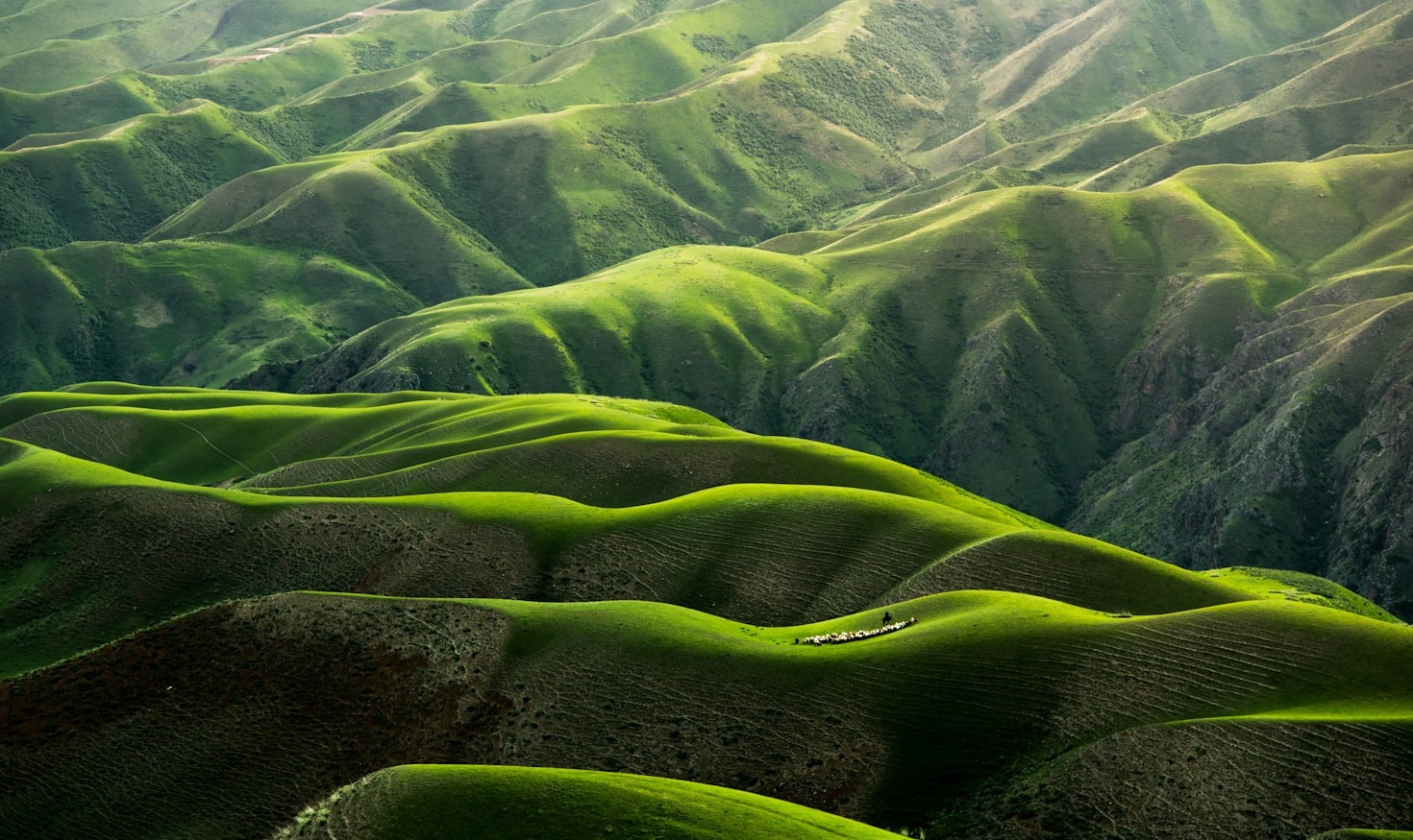 5 Simple Steps to Start Living Green