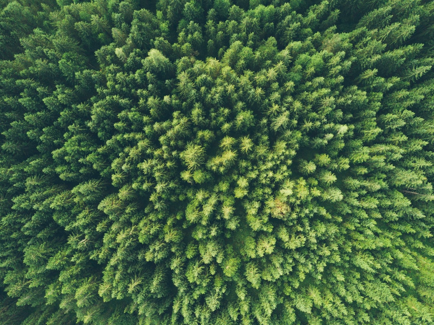Local Heroes Making a Global Environmental Impact
